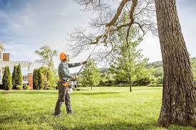 Best Tree Removal  in Brentwood, TN