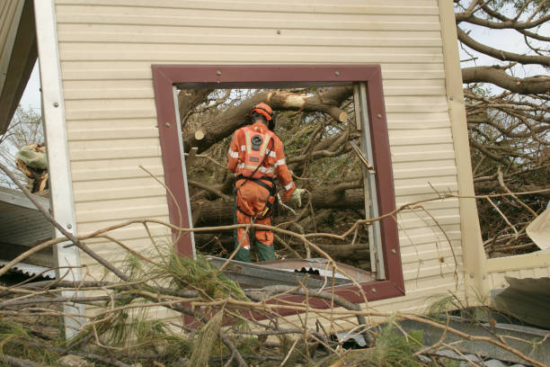 Best Commercial Tree Services  in Brentwood, TN